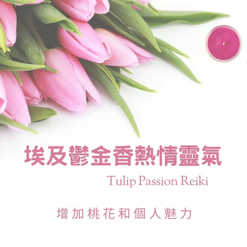 淨心身心靈工作坊｜證書課程