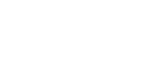 摩星精品內衣｜logo