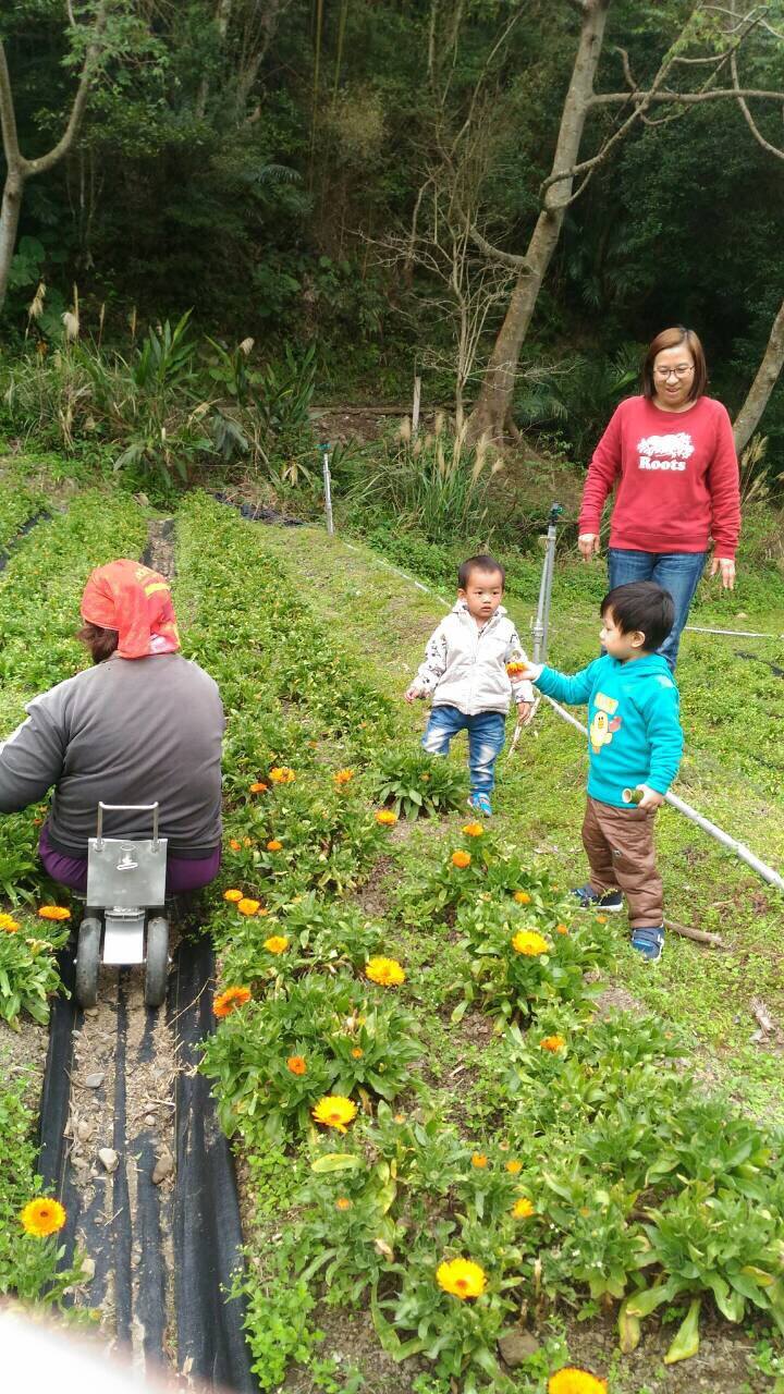 那羅香草｜環境照