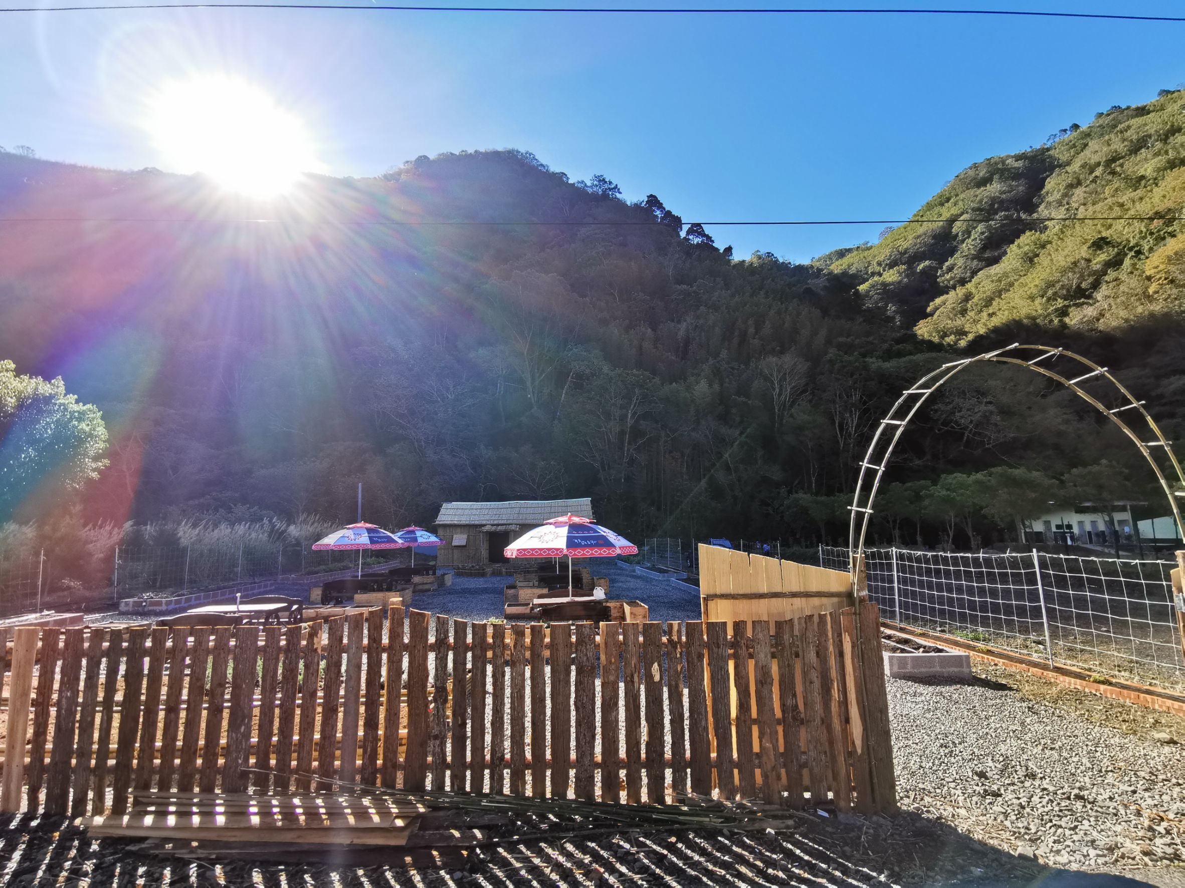 那羅香草｜環境照