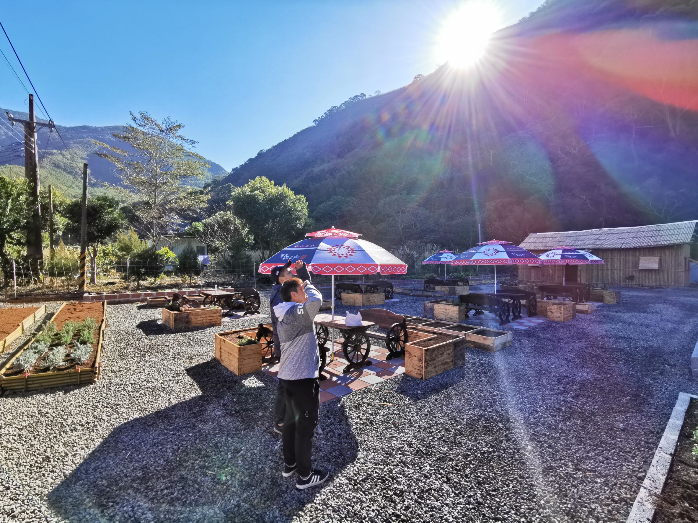 那羅香草｜環境照